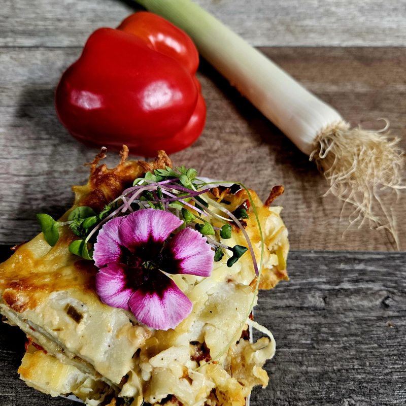 Lasagne végé